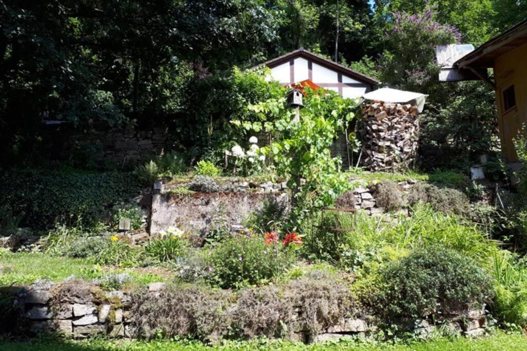 Eine Gemuetliche Ferienwohnung Mit Garten Bad Karlshafen Bagian luar foto