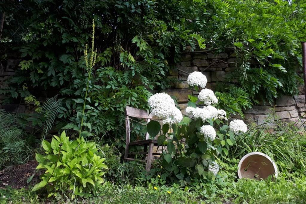Eine Gemuetliche Ferienwohnung Mit Garten Bad Karlshafen Bagian luar foto
